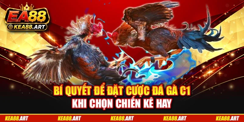 Bí quyết để đặt cược đá gà C1 khi chọn chiến kê hay Bí quyết để đặt cược đá gà C1 khi chọn chiến kê hay