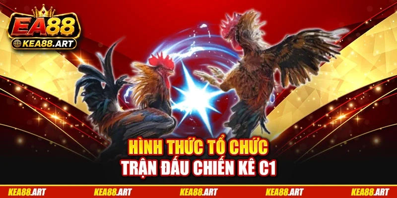 Hình thức tổ chức trận đấu chiến kê C1 Hình thức tổ chức trận đấu chiến kê C1