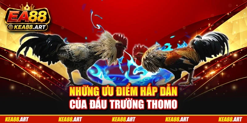 Những ưu điểm hấp dẫn của đấu trường Thomo Những ưu điểm hấp dẫn của đấu trường Thomo